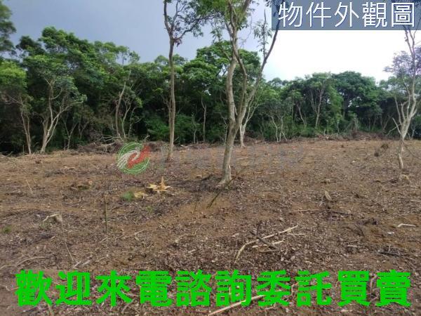 新北農地-3