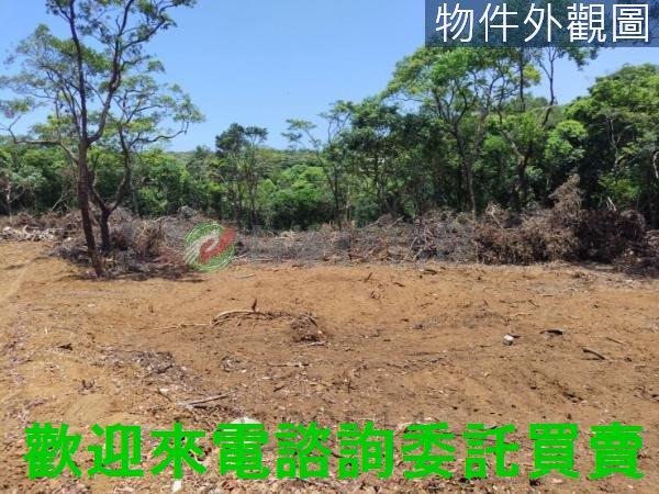新北農地-4