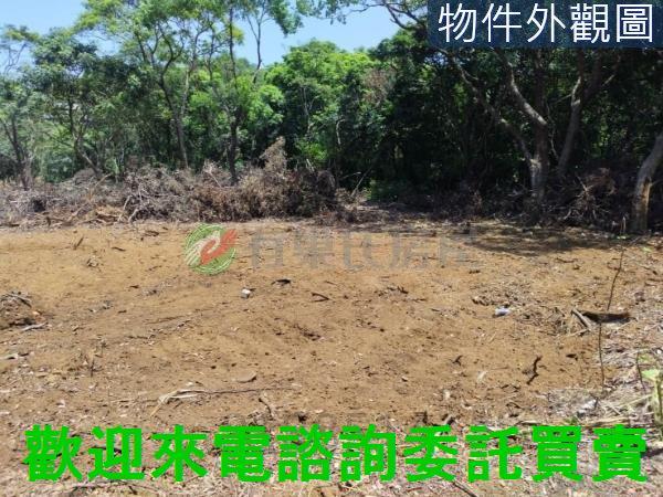新北農地-5