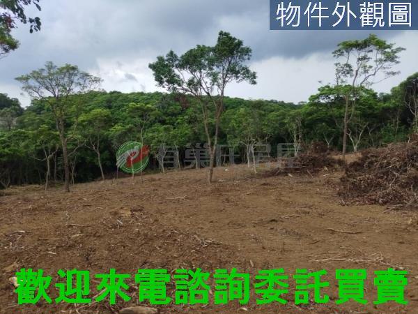 新北農地-6