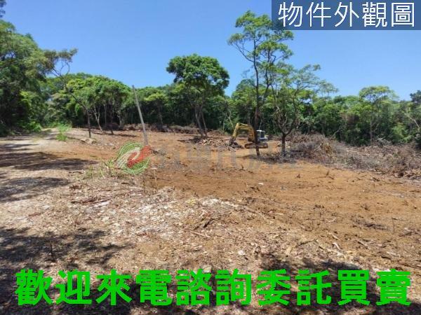 新北農地-8