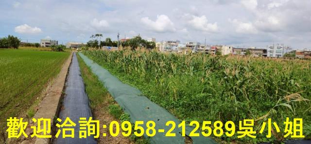 新竹農地-5