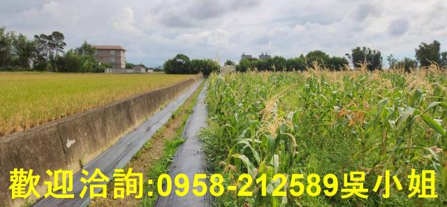 新竹農地-6