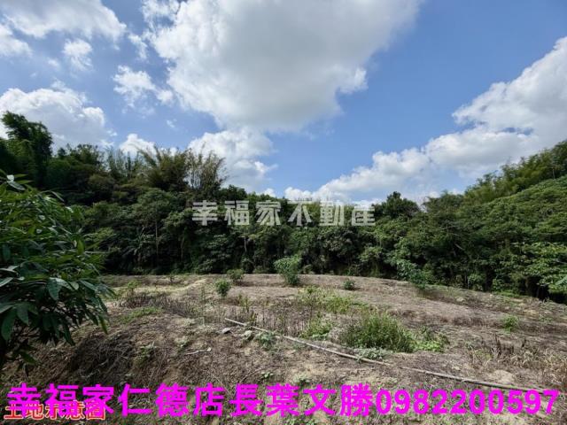 台南關廟農地-15
