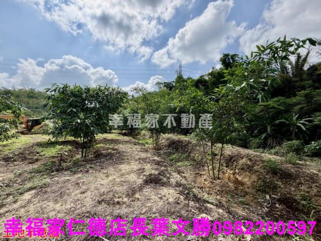 台南關廟農地-2