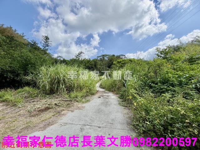 台南關廟農地-3