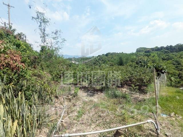 台南玉井建地-2