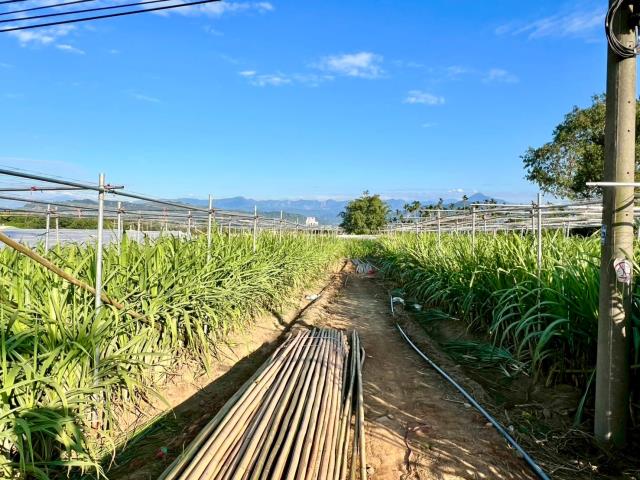 南投南投市農地-1