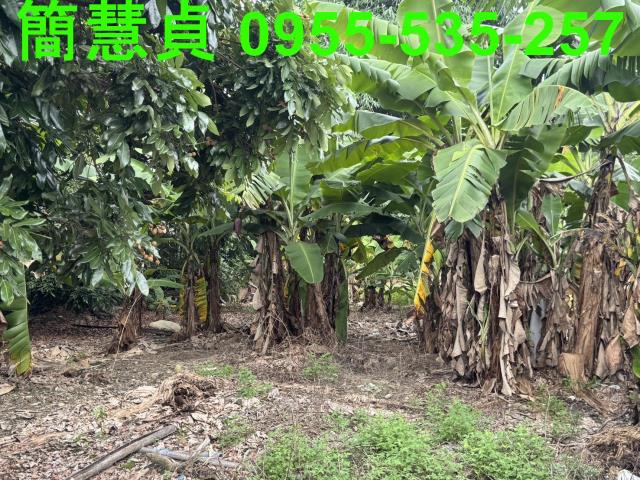 名間建地-4