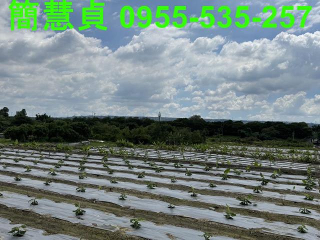名間建地-6