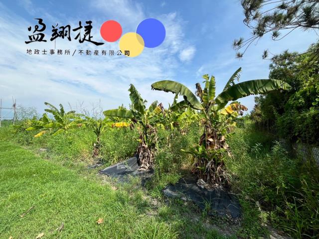 新埤農地-3