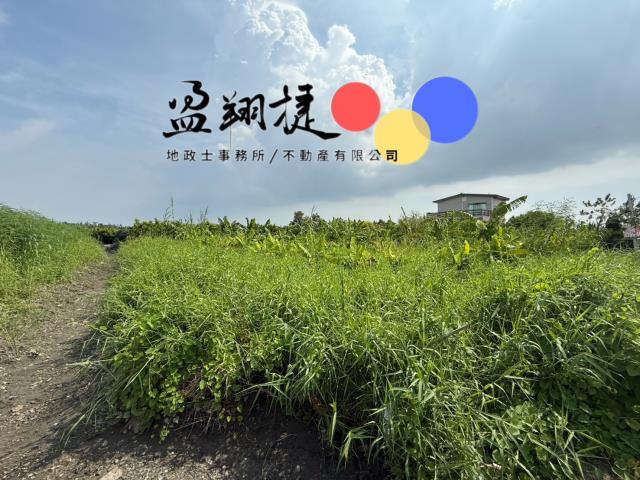 新埤農地-4