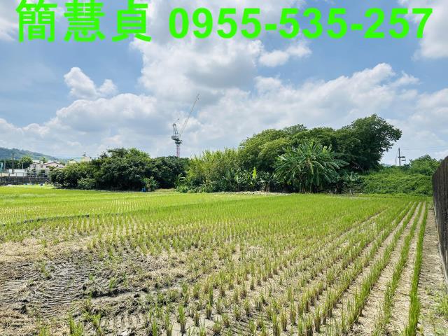 草屯特定目的事業用地-3