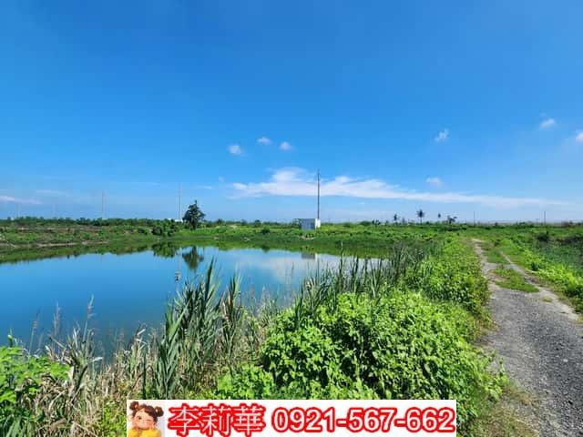 學甲養殖地-6