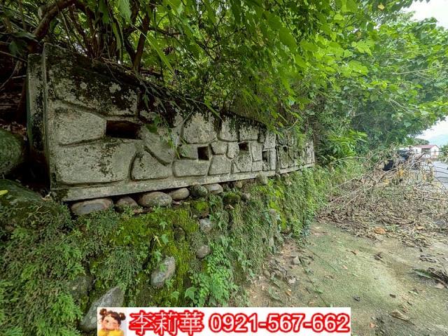 玉井農地-10