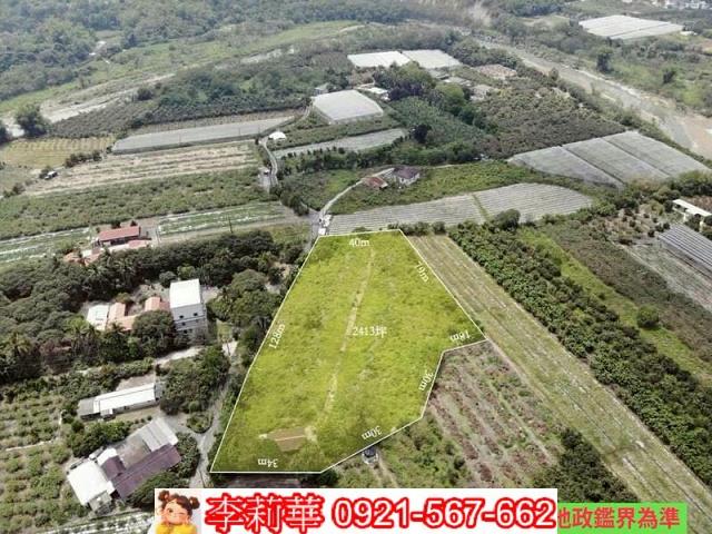 玉井農地-12