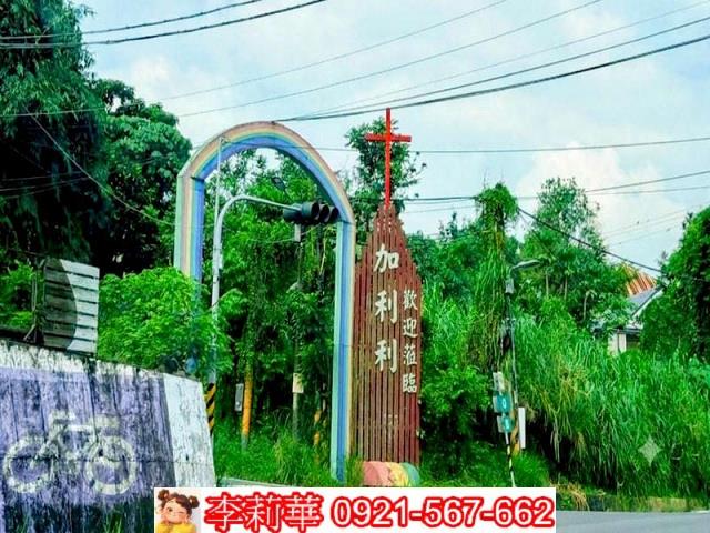 玉井農地-1