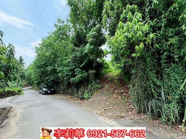 玉井農地-3