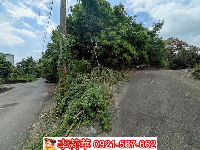 玉井農地-4