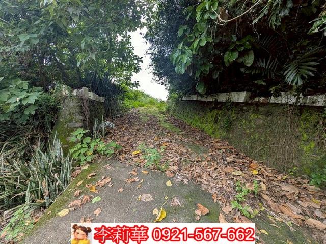 玉井農地-6