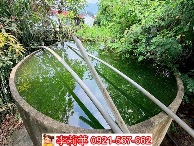 玉井農地-8