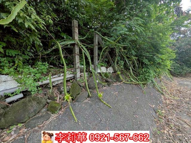 玉井農地-9