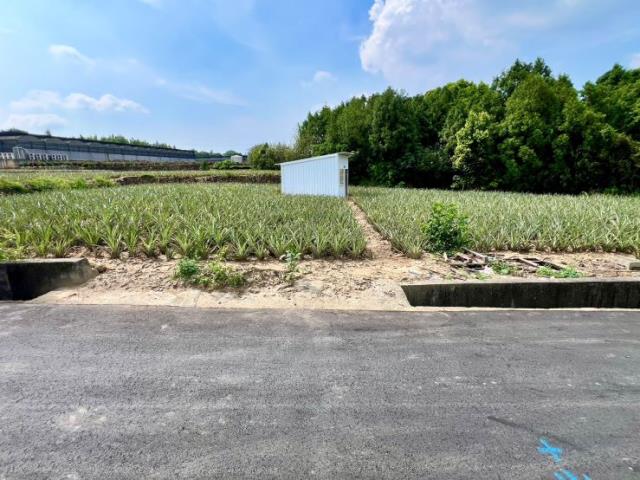 名間農地-1