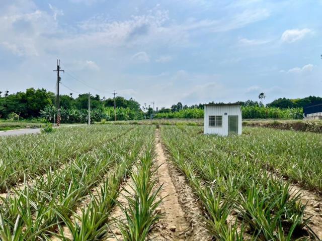 名間農地-4
