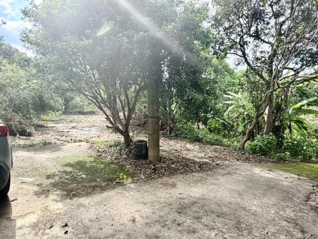 中寮農地-4