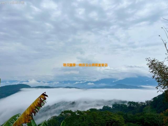 國姓農地-13