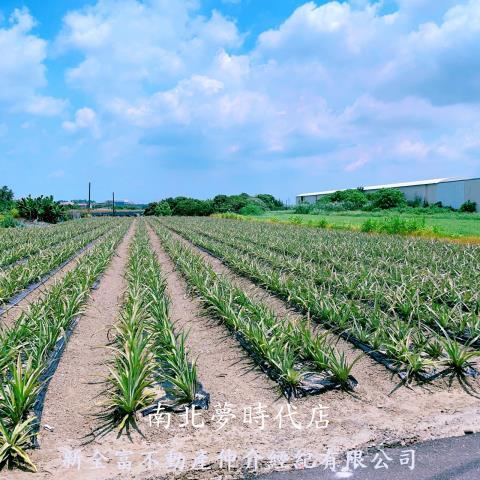 山上農地-9