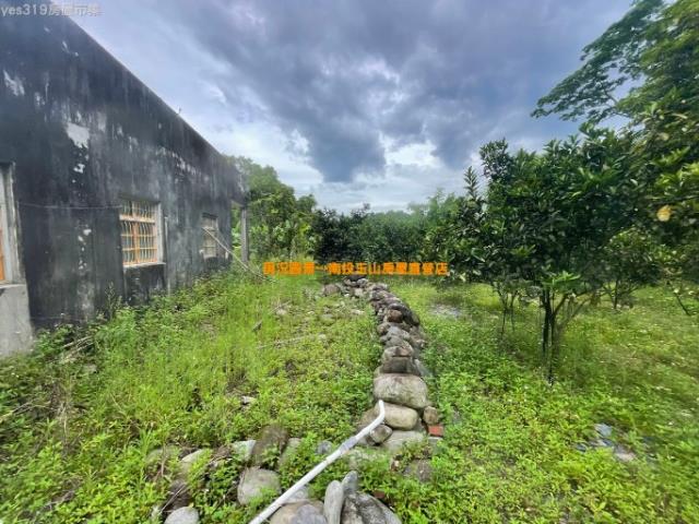 中寮農地-4