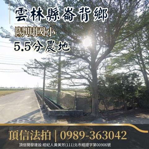 雲林農地法拍-3