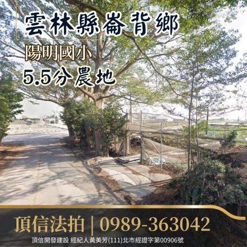 雲林農地法拍-4