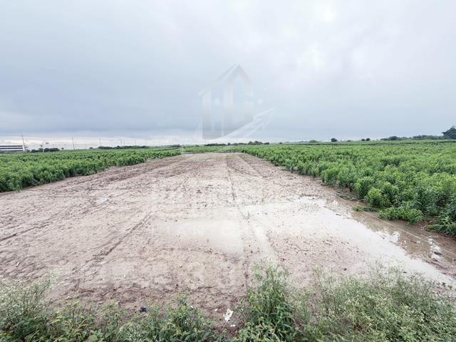 台南農地-1