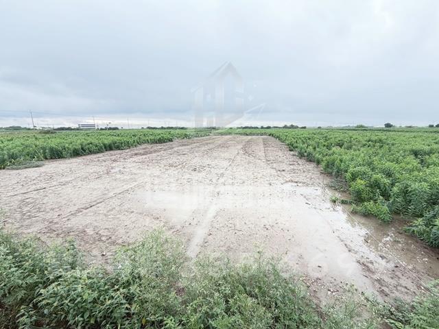 台南農地-2