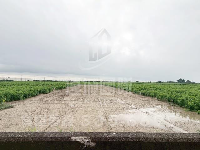 台南農地-3