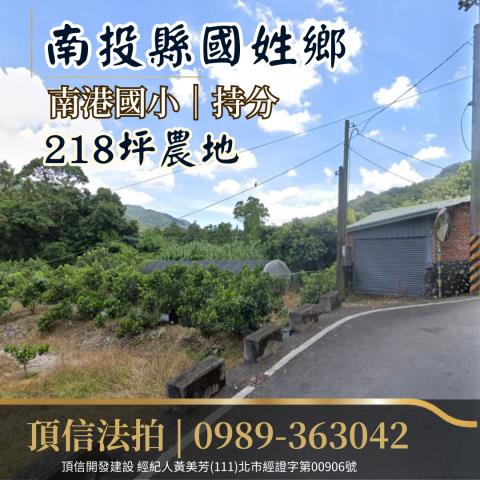 南投農地法拍-2