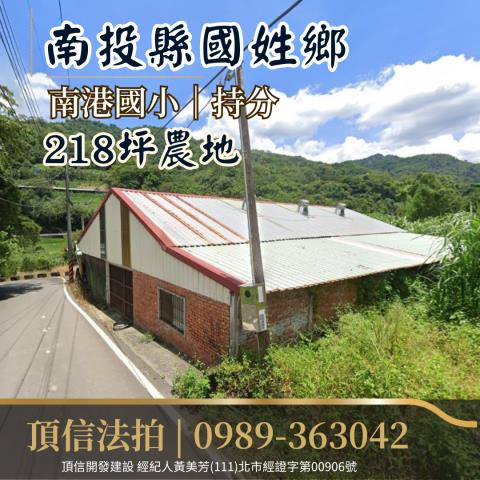 南投農地法拍-3