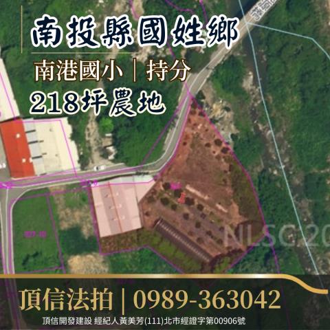 南投農地法拍-4
