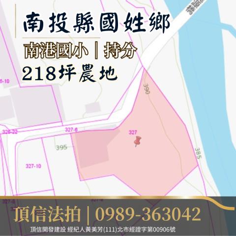 南投農地法拍-5
