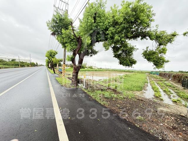 台南農地-8