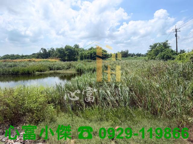 台南下營農地-1