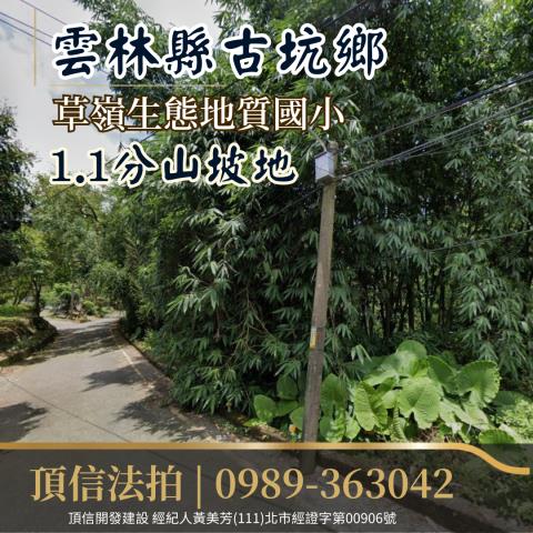 雲林古坑農地法拍-1