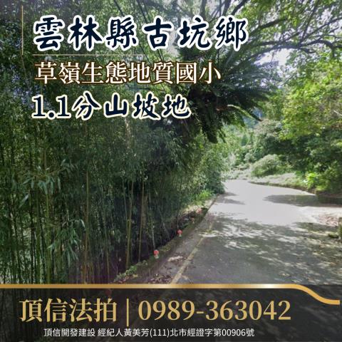 雲林古坑農地法拍-2