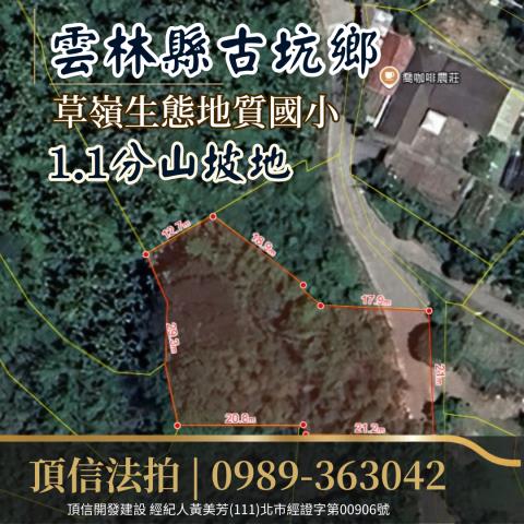 雲林古坑農地法拍-3