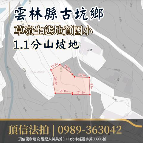雲林古坑農地法拍-4
