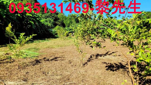 新竹橫山農地-12