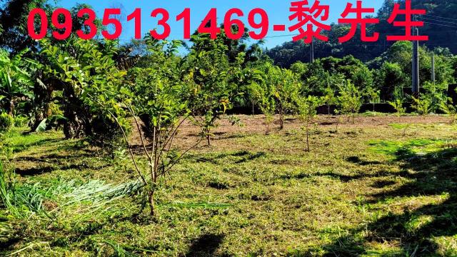 新竹橫山農地-2