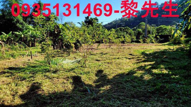 新竹橫山農地-4